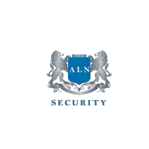 Professional security brand mark used by ALN Security