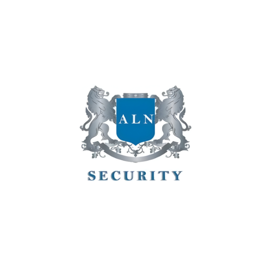 Professional security brand mark used by ALN Security